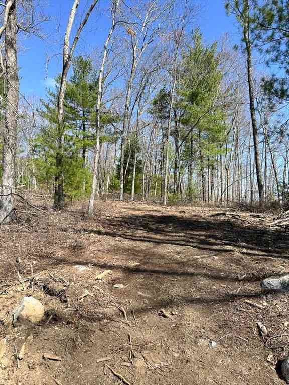 Vacant Land For Sale - 126 Burbank Rd Lot 1<br/> Sutton, MA 01590