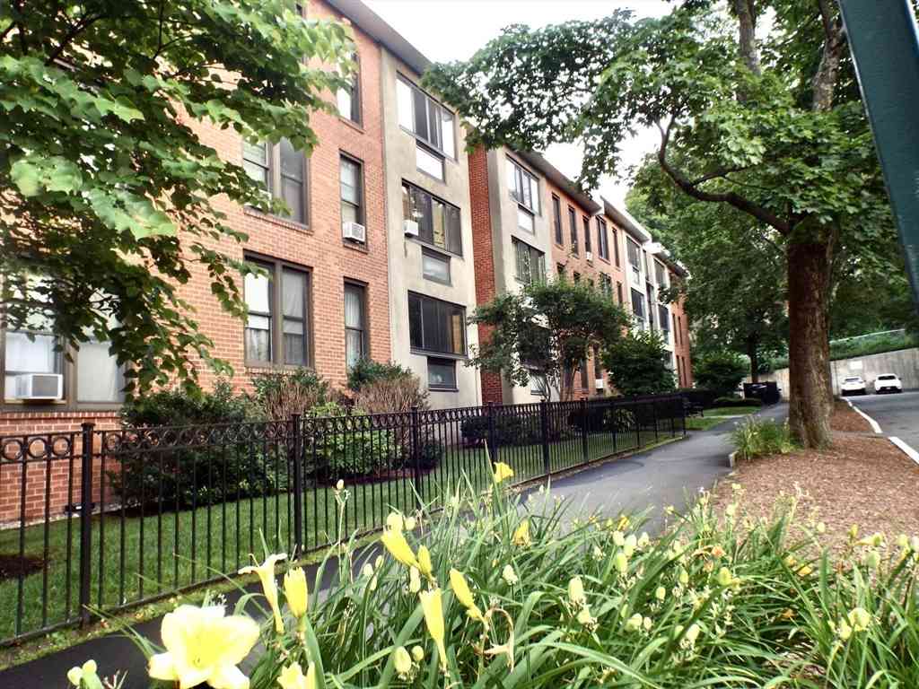 Condo For Rent - 32 Juniper St #98<br/> Brookline, MA 02445
