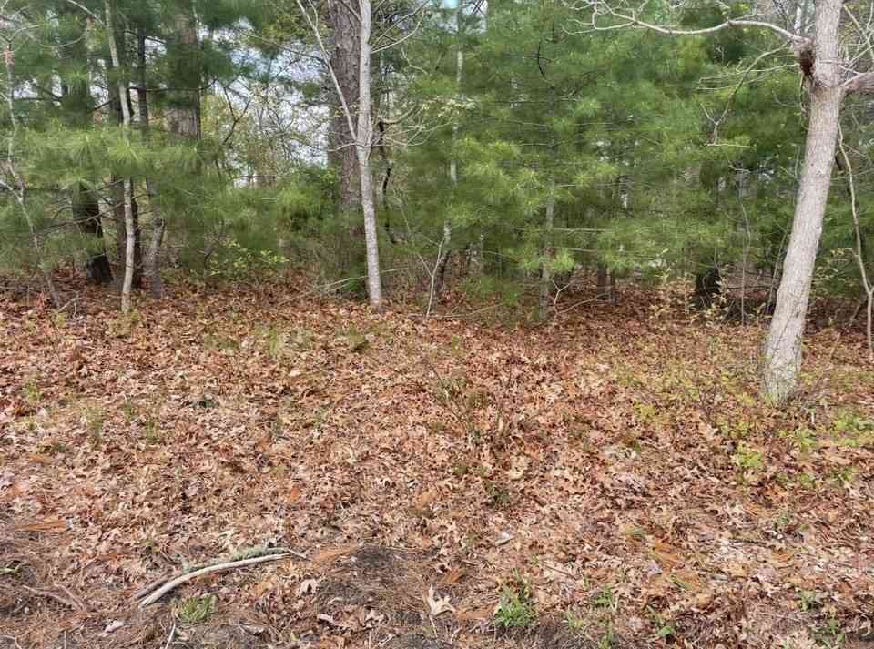Vacant Land For Sale - 58 & 62 Plymouth Ave<br/> Wareham, MA 02358