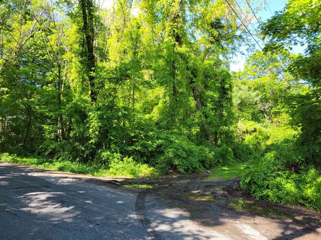 Vacant Land For Sale - LOT 7 Daniels Rd<br/> Charlton, MA 01507