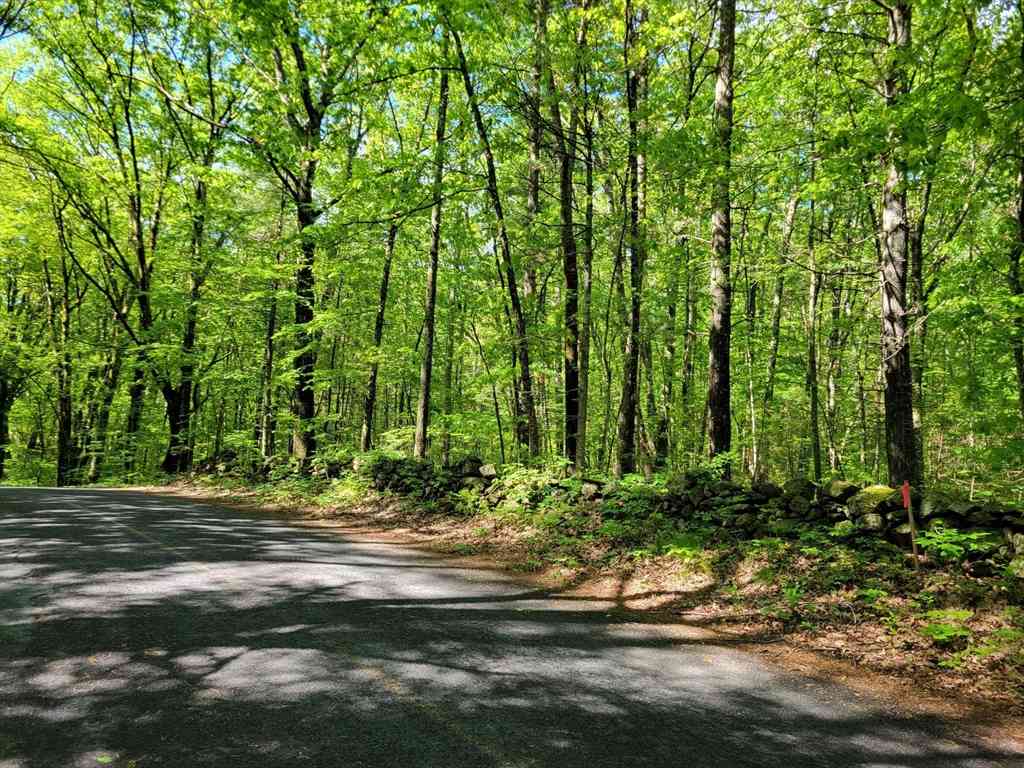 Vacant Land For Sale - LOT 8 Daniels Rd<br/> Charlton, MA 01507