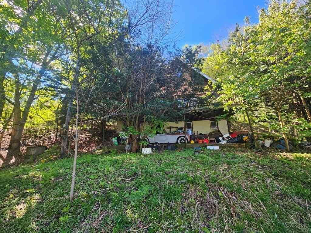 Homes For Sale - 57 E Hawley Rd<br/> Charlemont, MA 01339