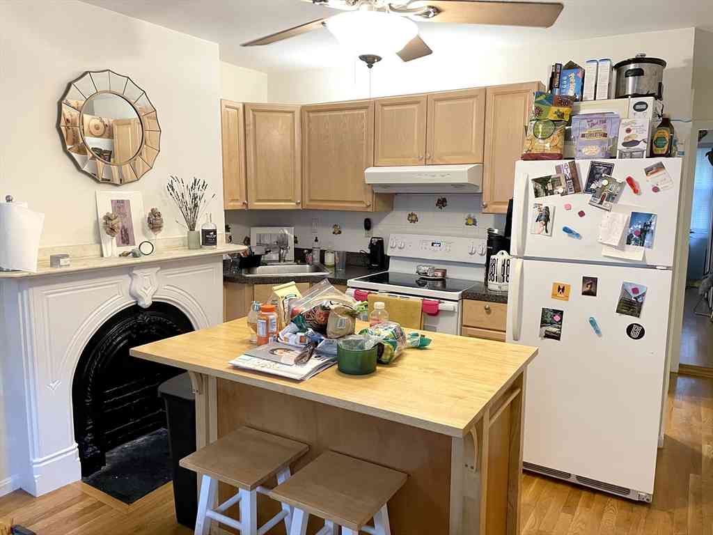 Condo For Rent - 81 E Brookline St #1<br/> Boston, MA 02118