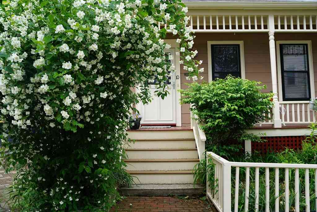 Homes For Sale - 10 Mountain Ave<br/> Somerville, MA 02143