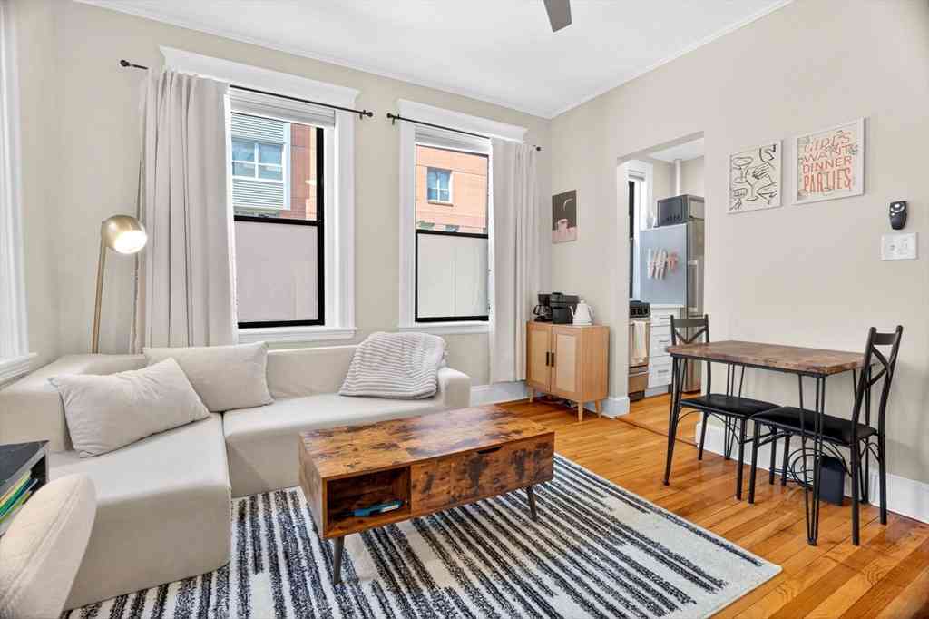 Condo For Sale - 36 E Newton St #1<br/> Boston, MA 02118