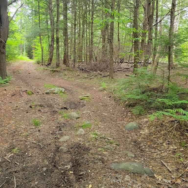 Vacant Land For Sale - Stockwell Road<br/> Royalston, MA 01368