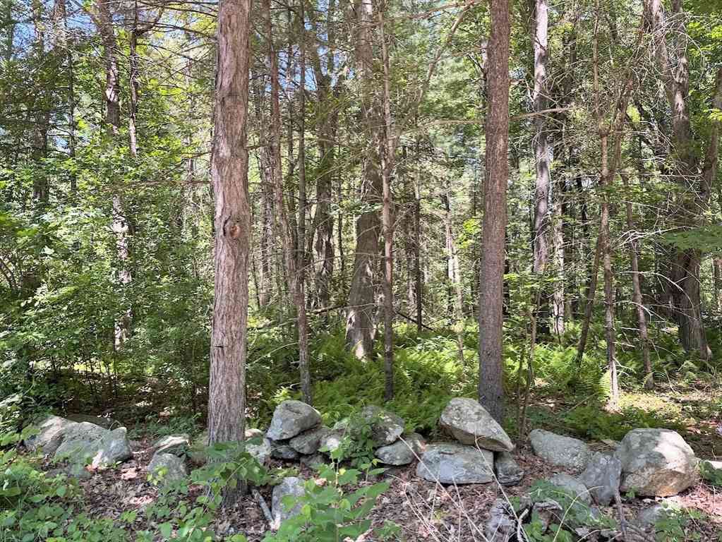Homes For Sale - 19 Whitney<br/> Berlin, MA 01503