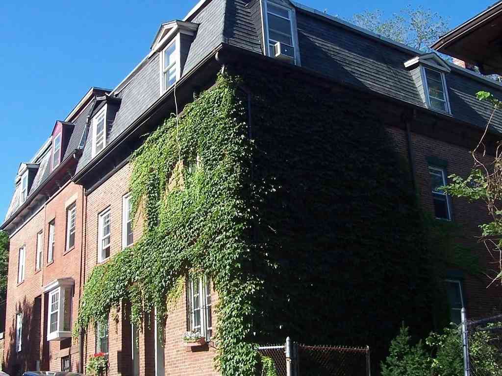 Homes For Rent - 6 Sewall Street #1<br/> Boston, MA 02120