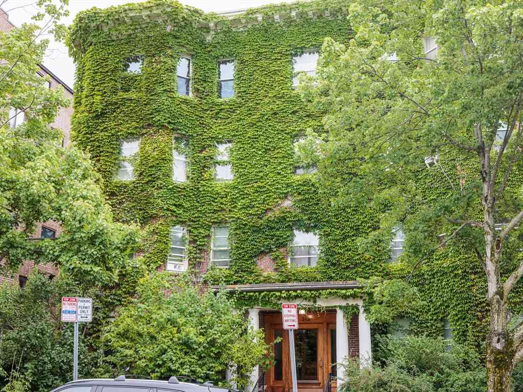 Condo For Rent - 315 Harvard St. #8<br/> Cambridge, MA 02139