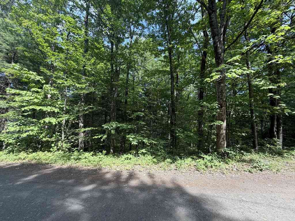 Vacant Land For Sale - 30 W Brook Dr<br/> Heath, MA 01346