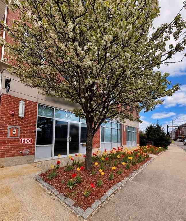 Condo For Sale - 441 Washington St #203<br/> Dedham, MA 02026