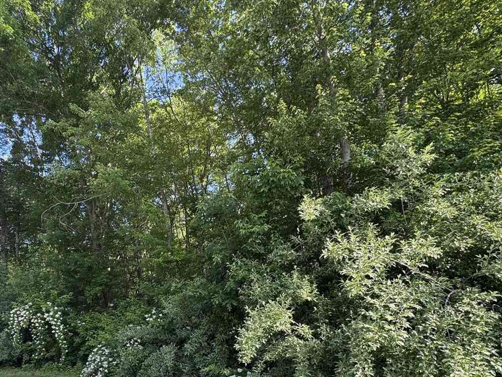 Vacant Land For Sale - Upland Ave<br/> Webster, MA 01570