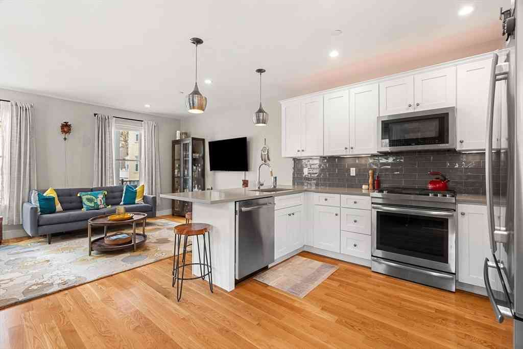 Condo For Sale - 178 Thornton St #1<br/> Boston, MA 02119