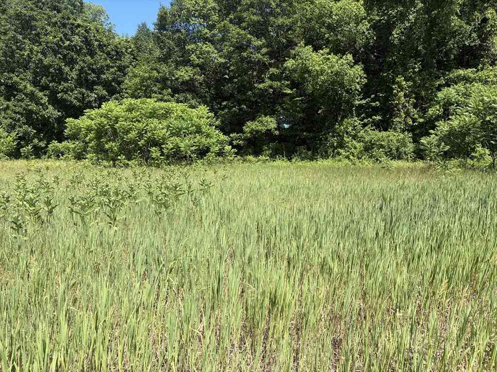 Vacant Land For Sale - Straits Road<br/> Hampshire County, Hatfield, MA 01038
