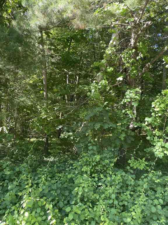 Vacant Land For Sale - LOT A Ware Rd<br/> Belchertown, MA 01007