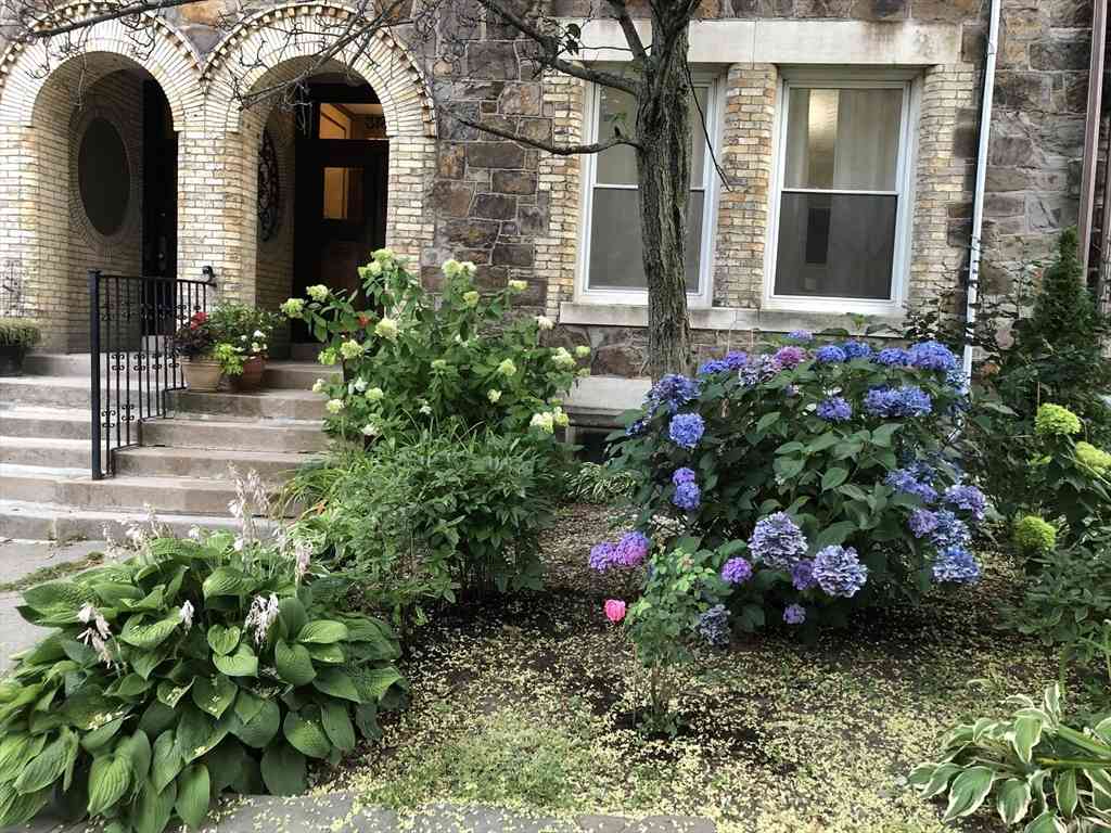Condo For Rent - 318 Tappan #2<br/> Brookline, MA 02445