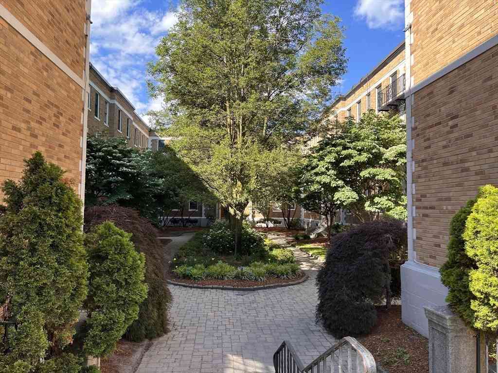 Apartment For Rent - 854 Massachusetts Ave #4<br/> Cambridge, MA 02139