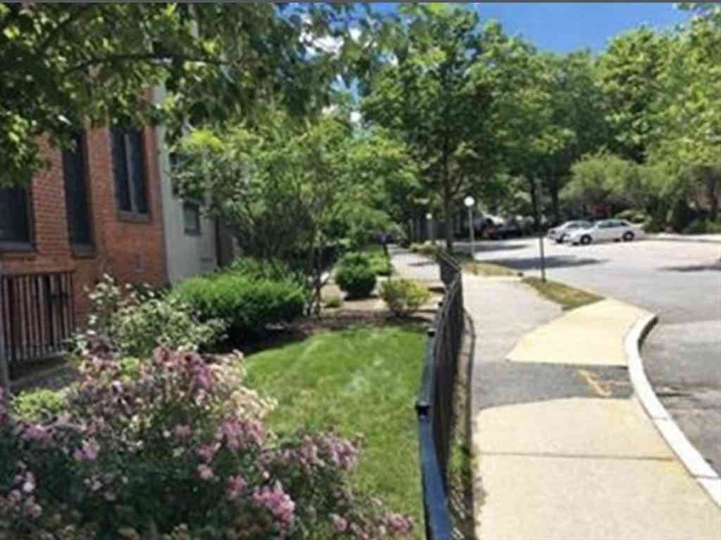 Apartment For Rent - 18 Juniper St #49<br/> Brookline, MA 02445