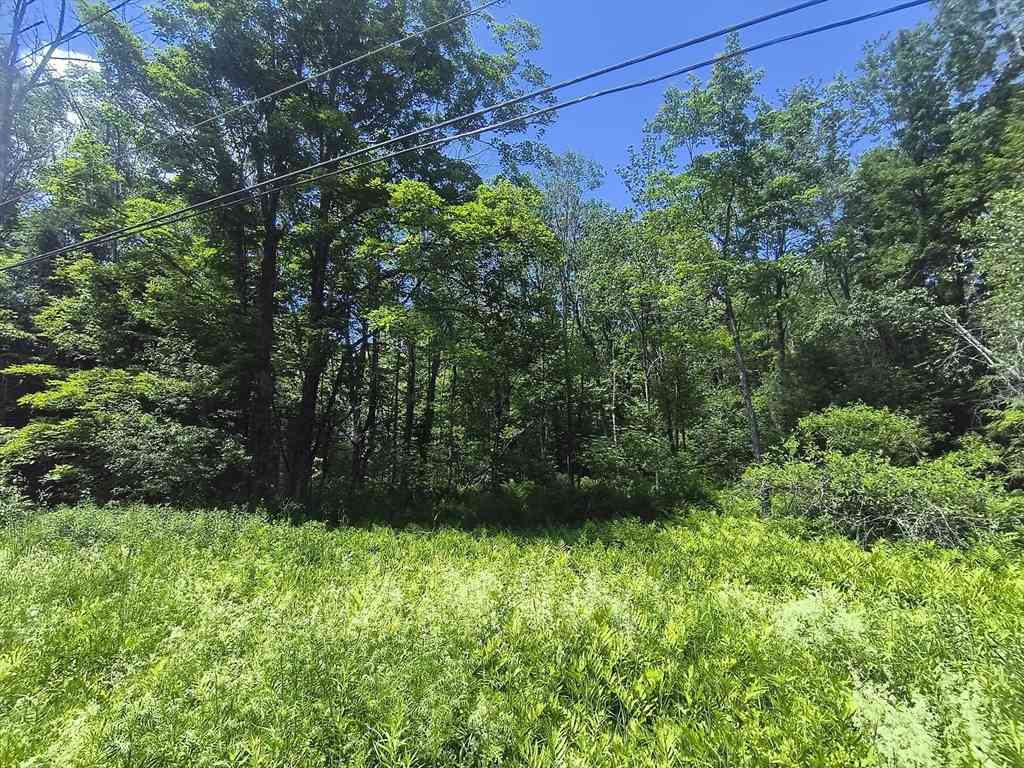 Vacant Land For Sale - Brown Hill Road<br/> Hampshire County, Worthington, MA 01098