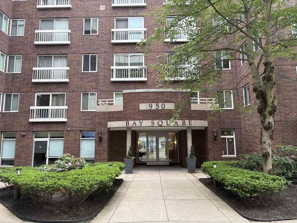 Apartment For Rent - 950 Massachusetts Ave #318<br/> Cambridge, MA 02139