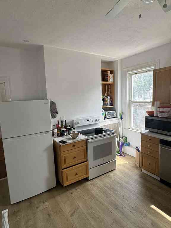Apartment For Rent - 58 Aspinwall Ave. #1<br/> Brookline, MA 02446