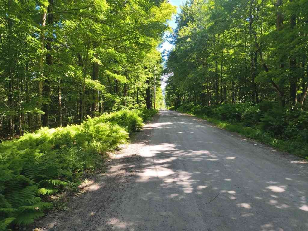 Vacant Land For Sale - LOT1 Holcomb Road<br/> Chesterfield, MA 01011
