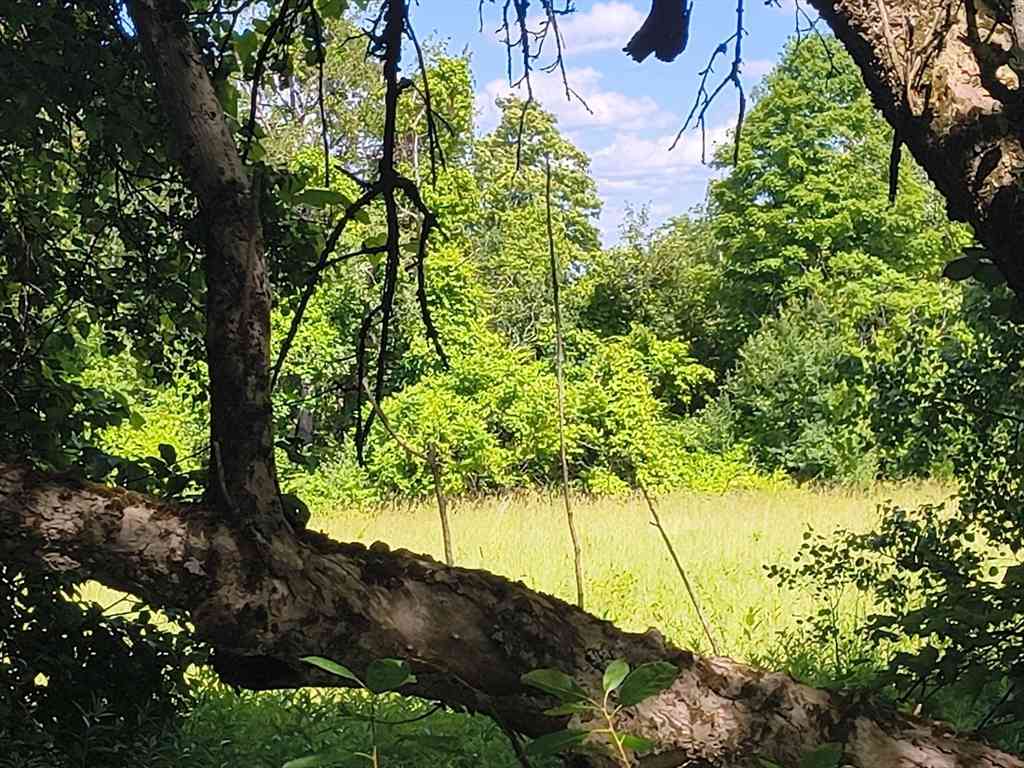 Vacant Land For Sale - LOT 3 Holcomb Road<br/> Chesterfield, MA 01011