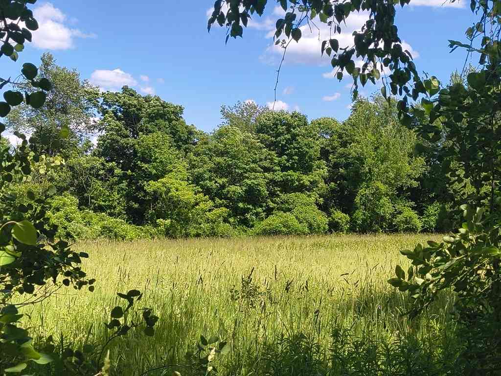 Vacant Land For Sale - LOT 4 Holcomb Road<br/> Chesterfield, MA 01011