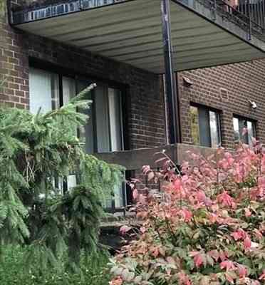 Condo For Rent - 30 Church St #6<br/> Braintree, MA 02184