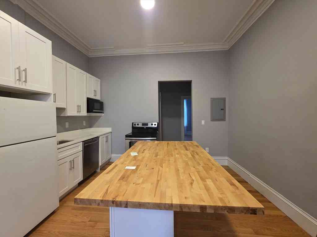 Condo For Rent - 98 Mt Pleasant Ave #1<br/> Boston, MA 02119
