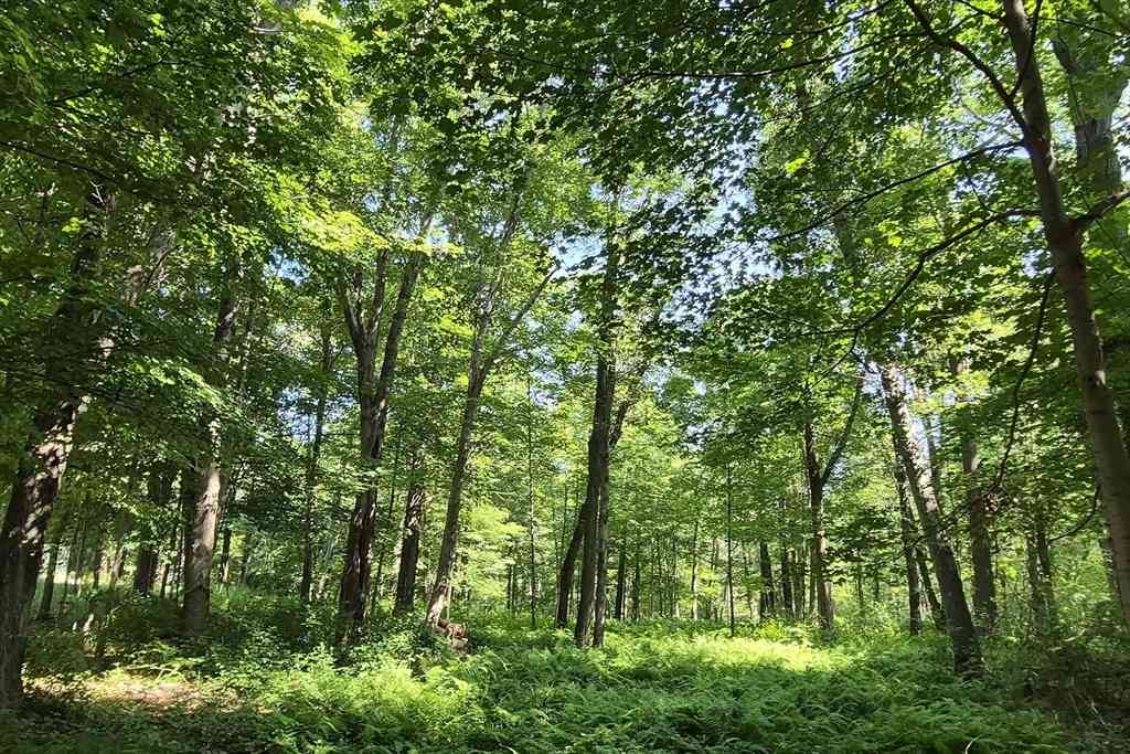 Vacant Land For Sale - 125 Topsfield Rd<br/> Essex County, Ipswich, MA 01938