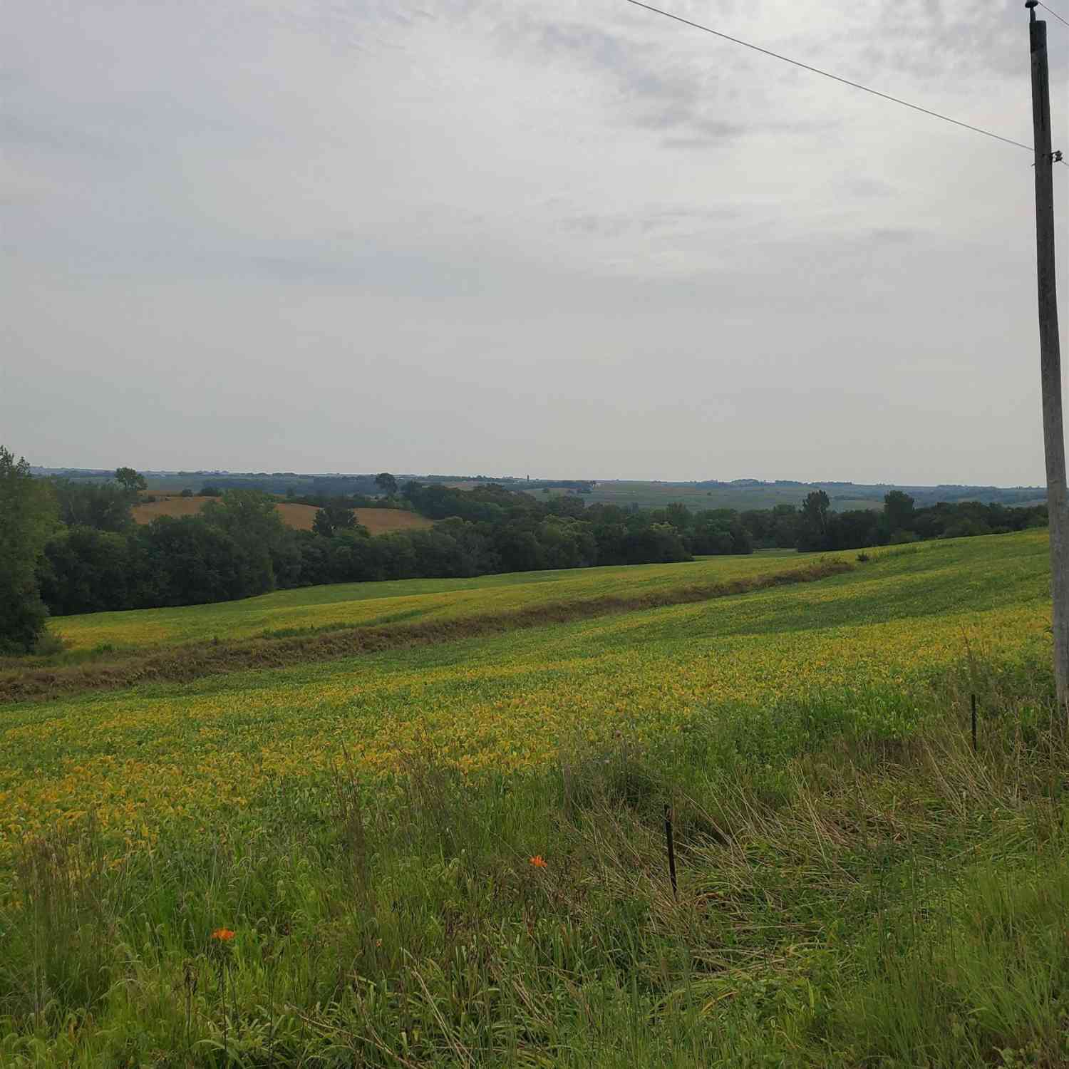 Vacant Land For Sale - TBD Shadow Avenue<br/> Honey Creek, IA 51542