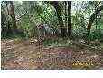 Vacant Land For Sale - Arsburn Road<br/> Charleston County, James Island, SC 29412