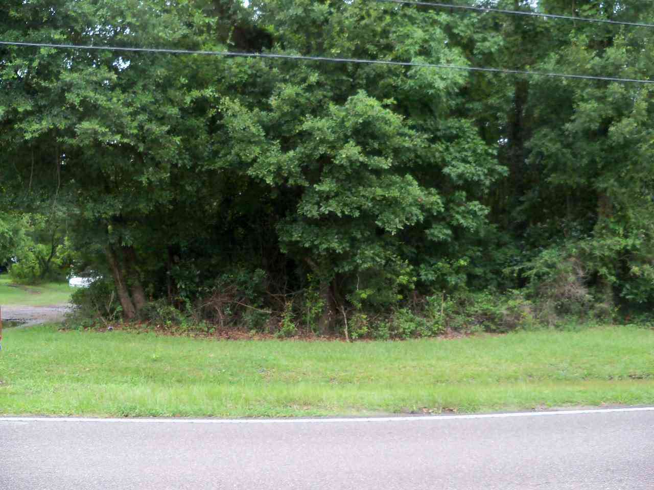 Vacant Land For Sale - Grimball Rd<br/> Charleston County, Charleston, SC 29412