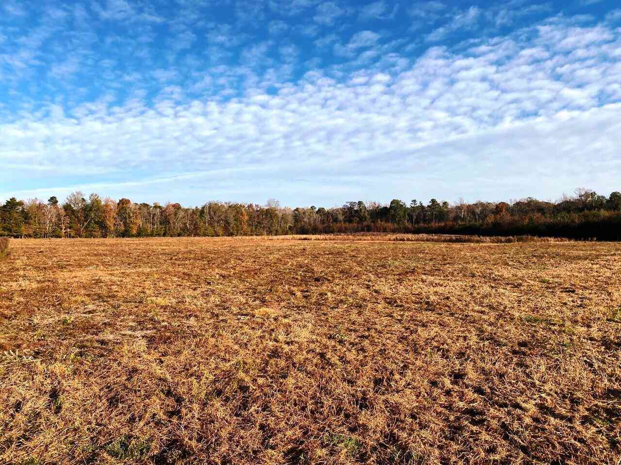 Vacant Land For Sale - 5306 State Road<br/> Holly Hill, SC 29059