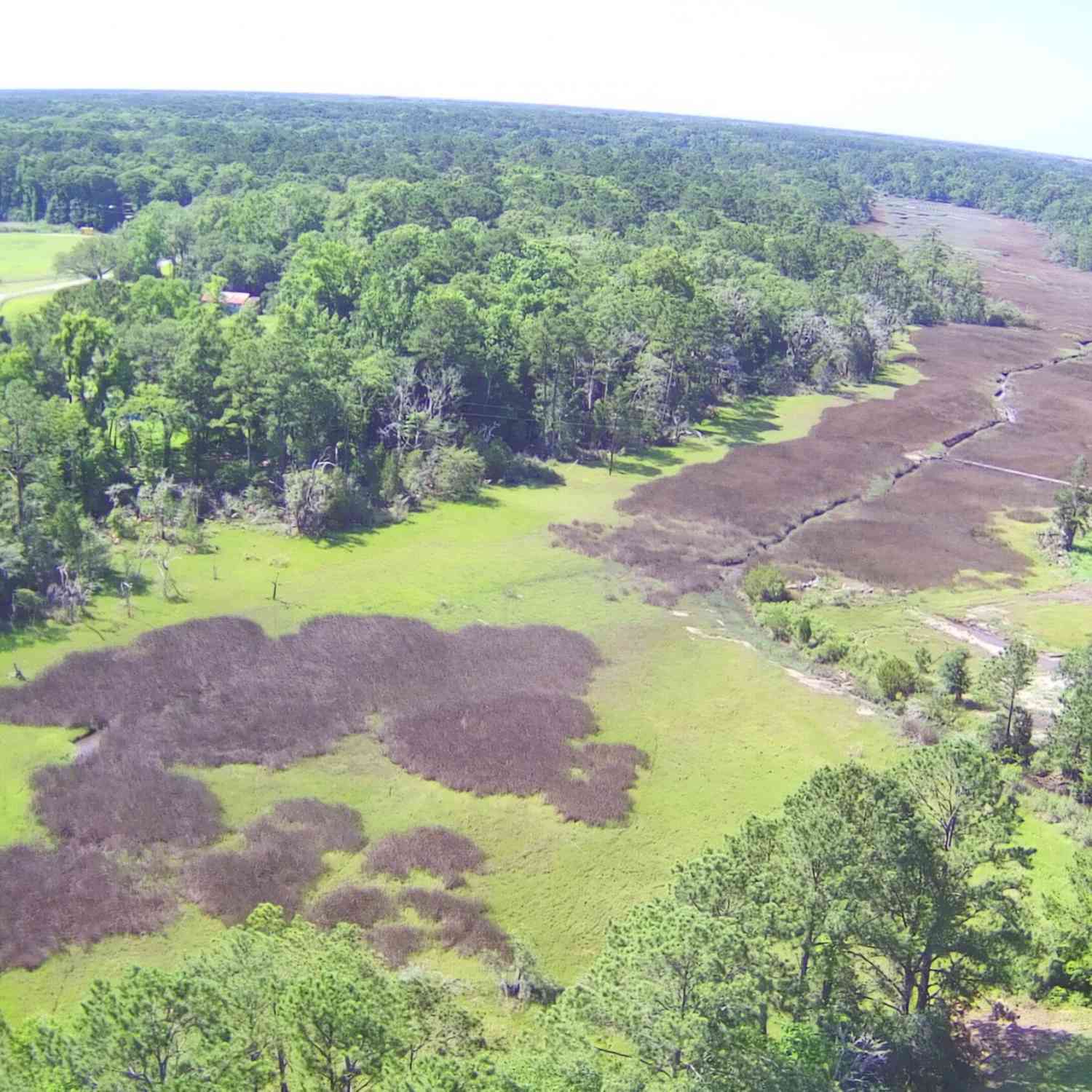 Vacant Land For Sale - 4503 Chisolm Road #PARCEL B<br/> Johns Island, SC 29455