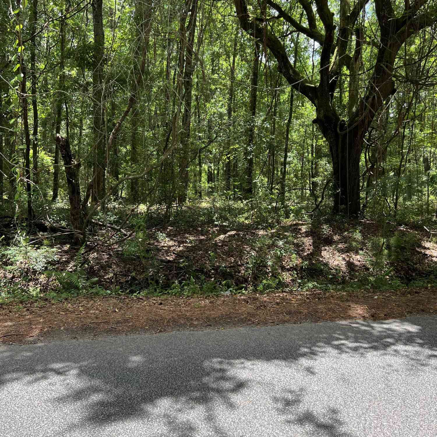Vacant Land For Sale - 00 Cane Slash Road<br/> Charleston County, Charleston, SC 29401
