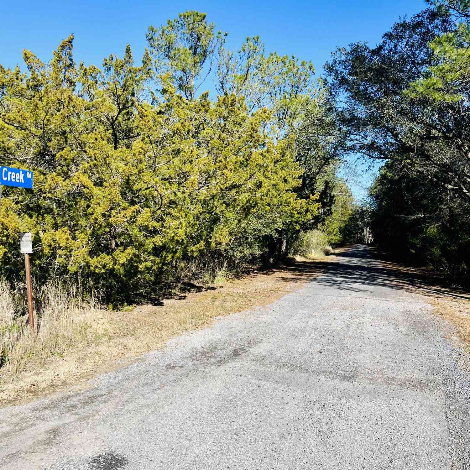 Vacant Land For Sale - Meggett Creek Road<br/> Meggett, SC 29449