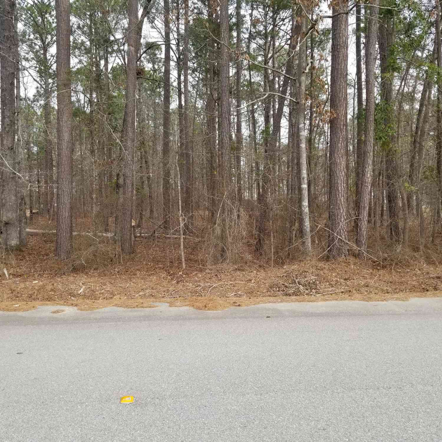 Vacant Land For Sale - Sorin Circle<br/> Elloree, SC 29047
