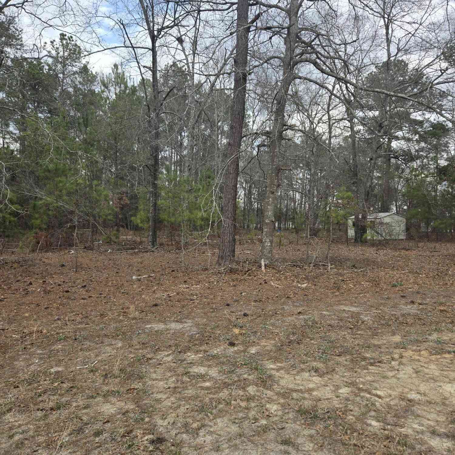 Vacant Land For Sale - Shillings Bridge Road<br/> Orangeburg County, Orangeburg, SC 29115