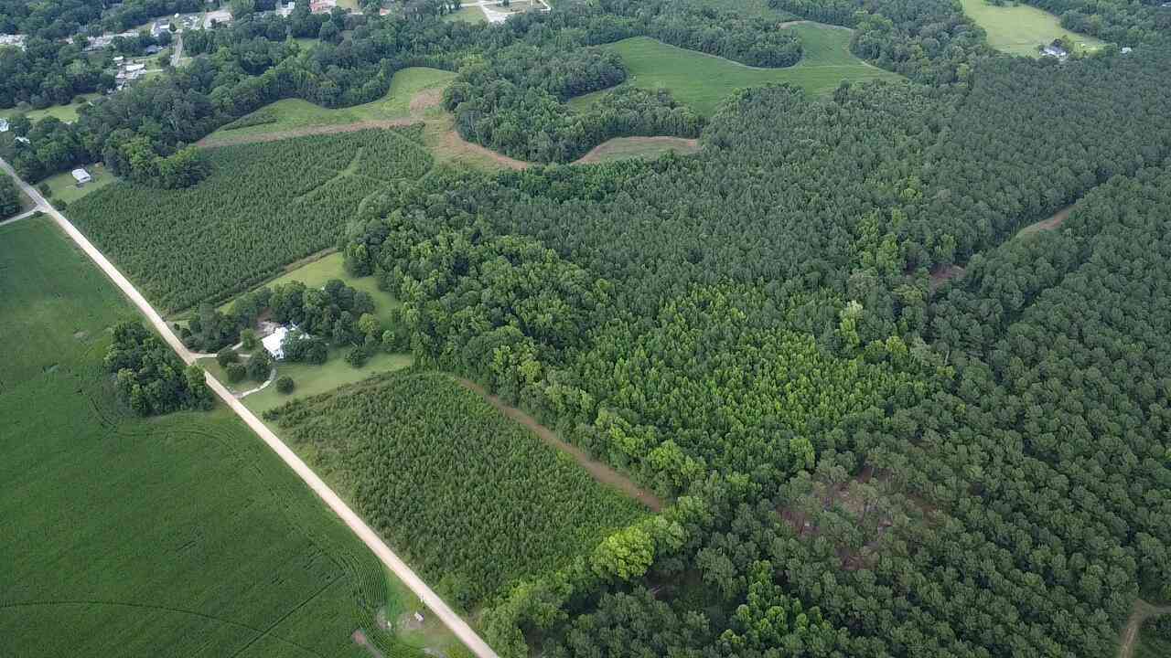 Vacant Land For Sale - Gum Street<br/> Holly Hill, SC 29059
