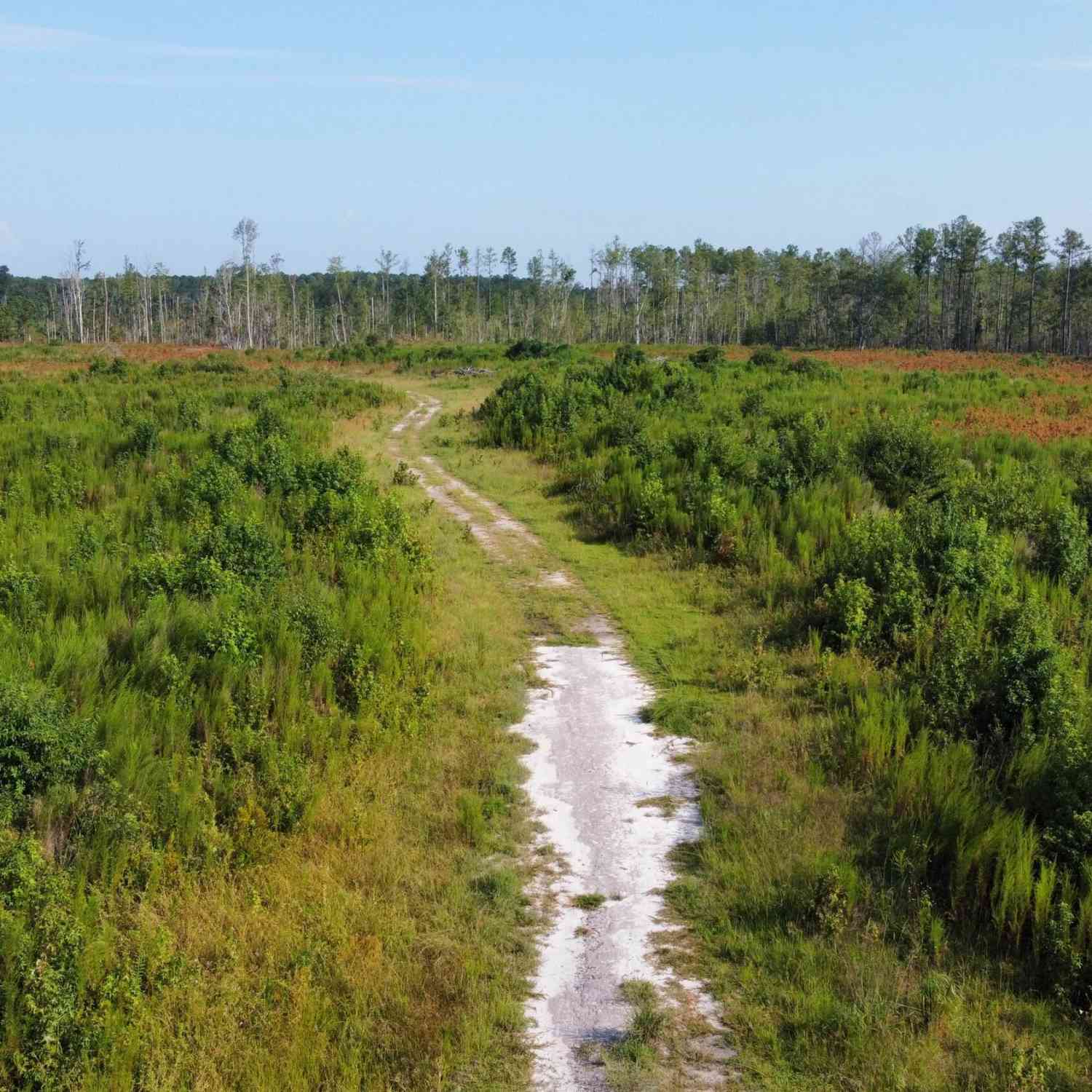 Vacant Land For Sale - First Bend Road<br/> Harleyville, SC 29448