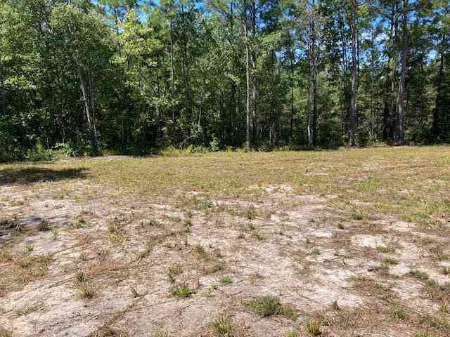 Vacant Land For Sale - 00 Wildgame Road #LOT 1<br/> Summerville, SC 29485