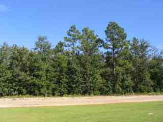Vacant Land For Sale - Shore Drive #LOT 36<br/> Orangeburg County, Orangeburg, SC 29118
