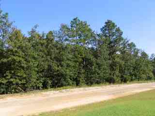 Vacant Land For Sale - Shore Drive #LOT 35<br/> Orangeburg County, Orangeburg, SC 29118