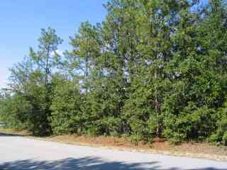 Vacant Land For Sale - Shore Drive #LOT 30<br/> Orangeburg County, Orangeburg, SC 29118