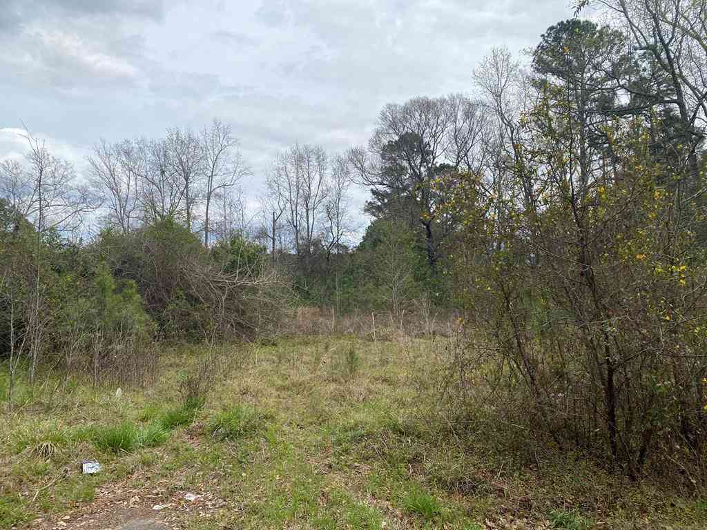 Vacant Land For Sale - 927 Rodney Road<br/> Orangeburg County, Orangeburg, SC 29115