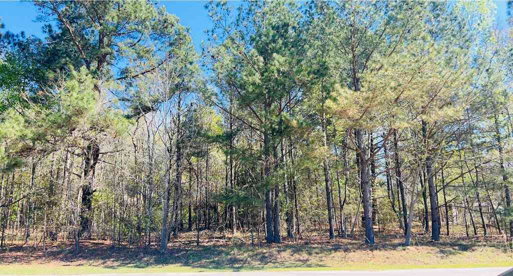 Vacant Land For Sale - 142 Brown Meadows Court<br/> Orangeburg County, Orangeburg, SC 29115
