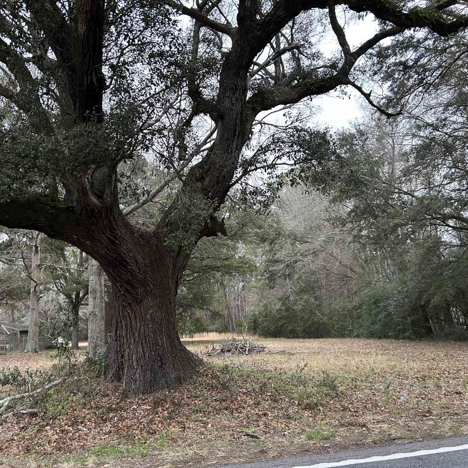Vacant Land For Sale - 4244 River Road<br/> Johns Island, SC 29455