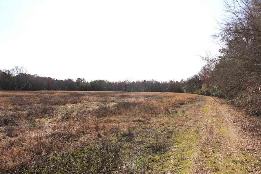 Vacant Land For Sale - Corona Drive<br/> Orangeburg County, Orangeburg, SC 29115